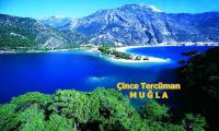 mugla-cince-tercuman-cince-tercume-mugla